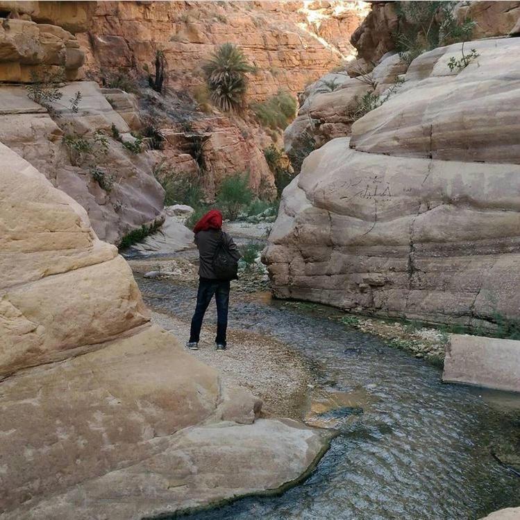 Bedouin Nature Travels Wadi Musa Luaran gambar