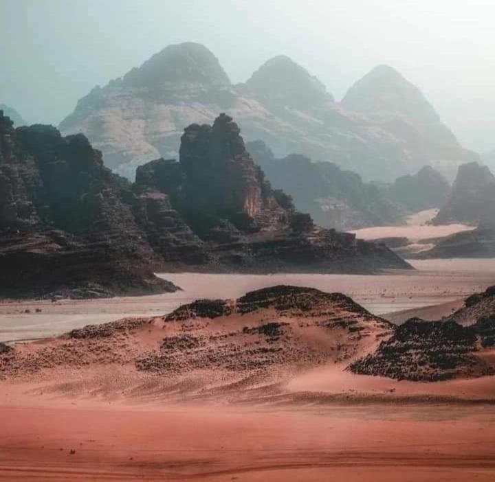 Bedouin Nature Travels Wadi Musa Luaran gambar